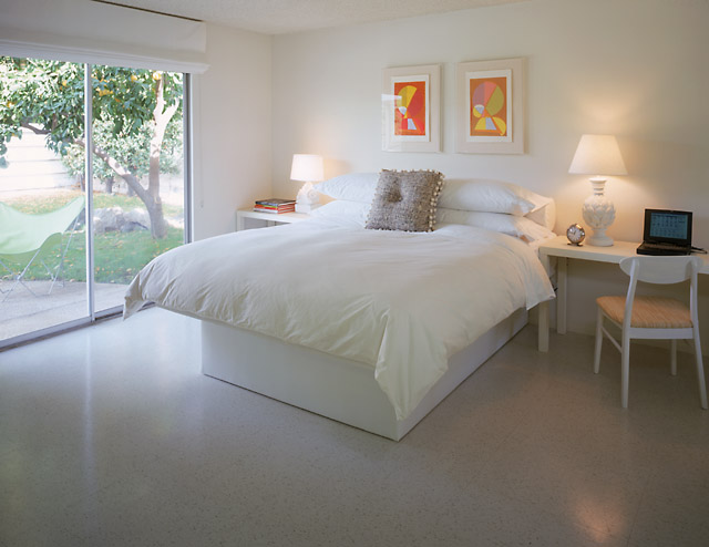 PS master.jpg (65033 bytes)